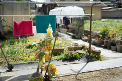 明日香村　大字川原