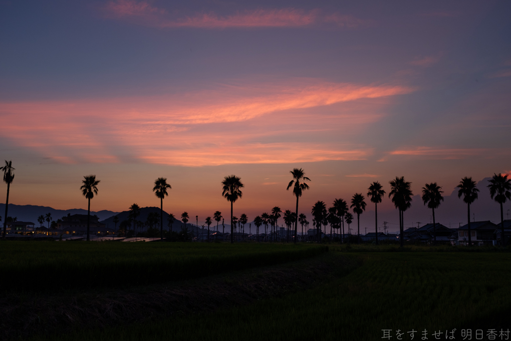橿原市