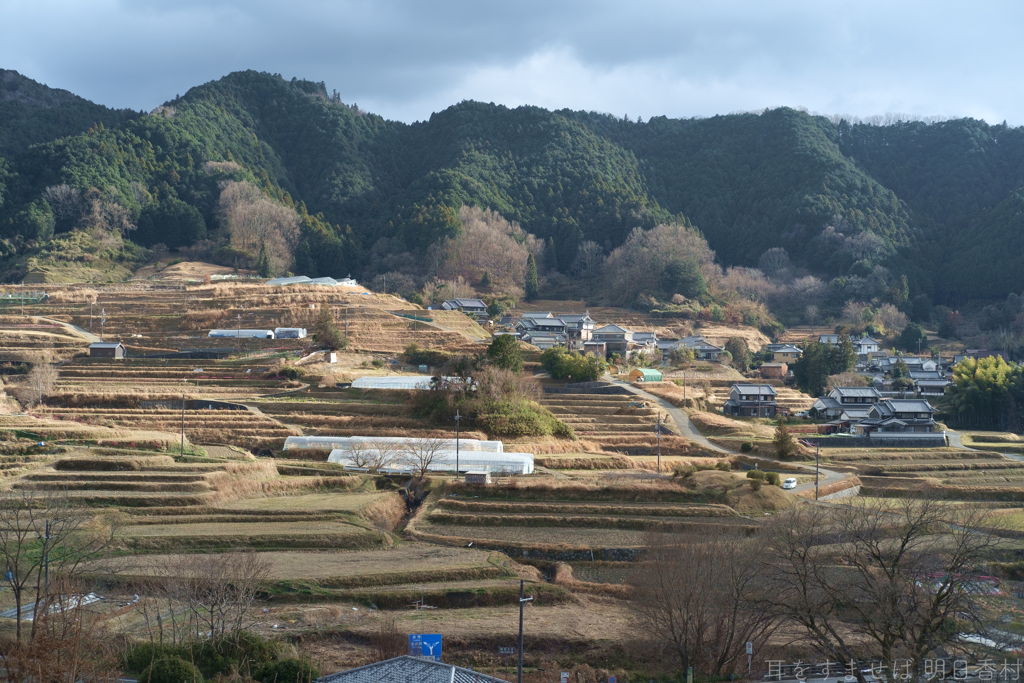 明日香村　大字阪田