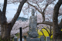 奈良県橿原市　藤原宮跡