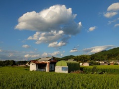 明日香村 大字岡 明日香村 大字岡