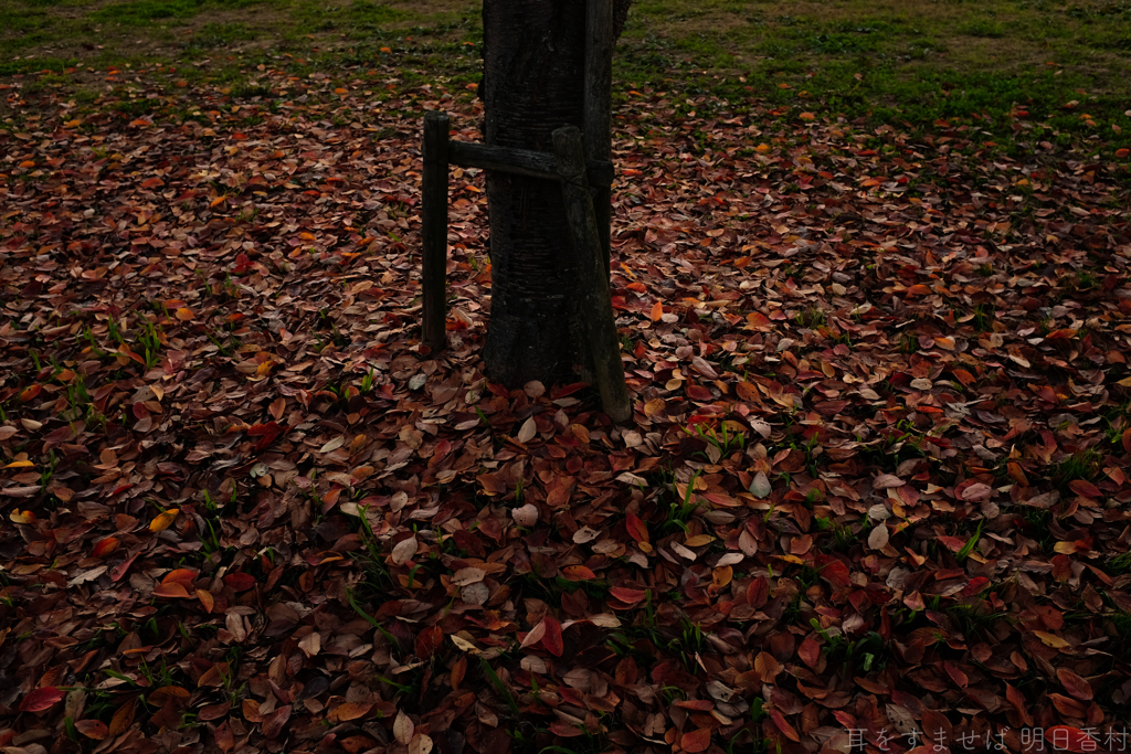 明日香村　大字檜前　明日香村近隣公園