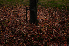 明日香村　大字檜前　明日香村近隣公園
