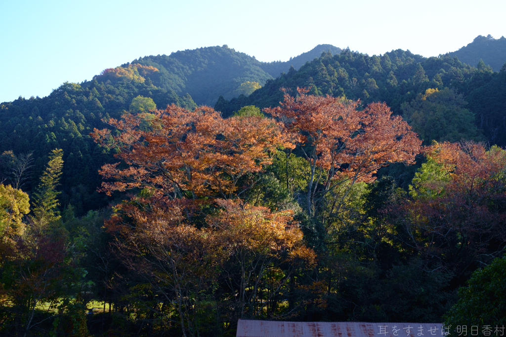 明日香村　大字稲渕