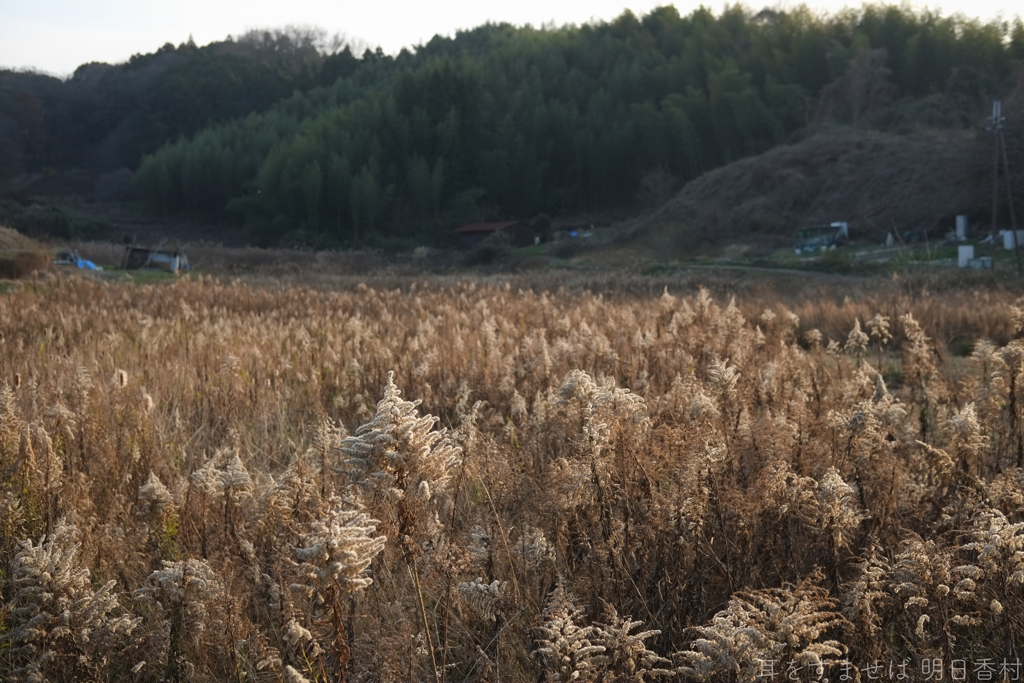 明日香村　大字豊浦