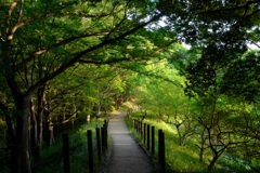 明日香村 大字豊浦 甘樫丘 明日香村 大字豊浦 甘樫丘