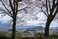 明日香村　大字豊浦　甘樫丘