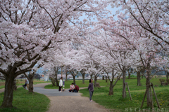 橿原市　鳥屋近隣公園