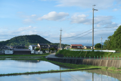 橿原市　鳥屋町