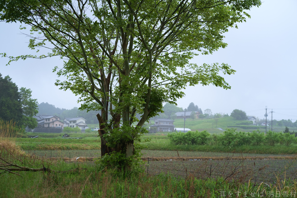 明日香村　大字平田