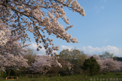 明日香村　大字川原