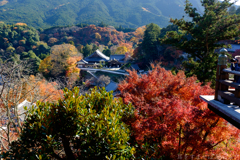 奈良県桜井市　長谷寺