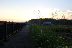 明日香村　大字飛鳥