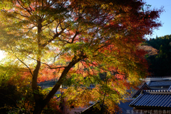 奈良県桜井市　長谷寺参道