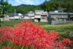 明日香村　大字稲渕