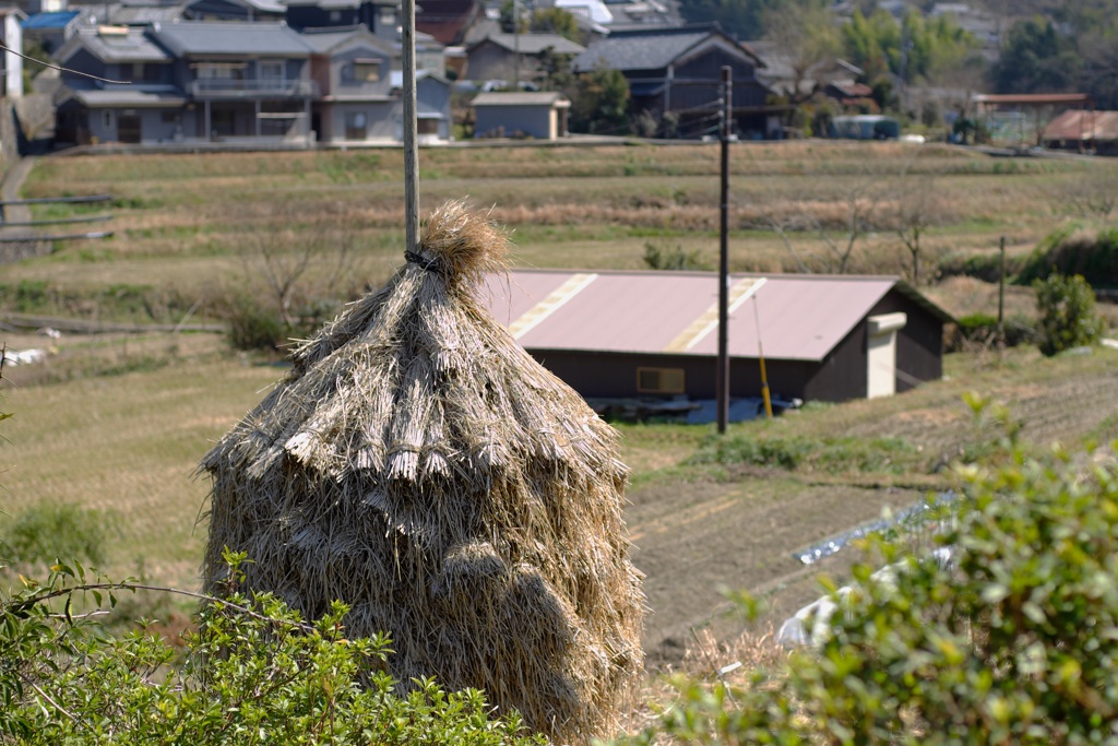 明日香村　大字稲渕
