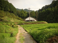 明日香村 尾曽