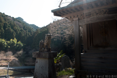 明日香村　大字稲渕