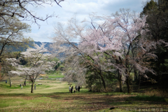 明日香村　大字豊浦　甘樫丘