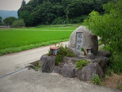 明日香村 橘 明日香村 橘