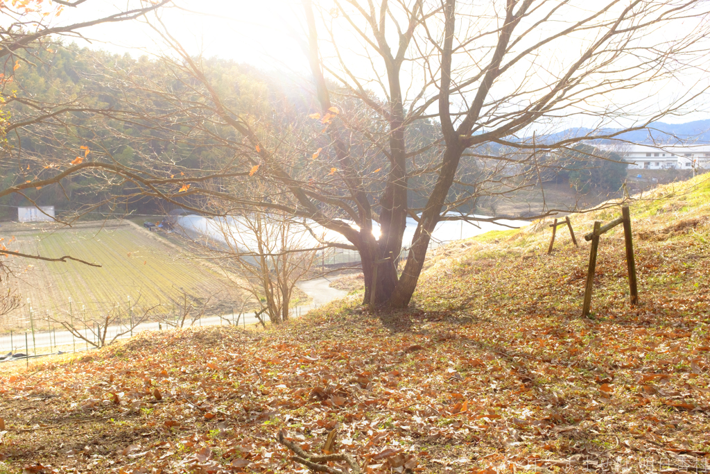 明日香村　大字栗原