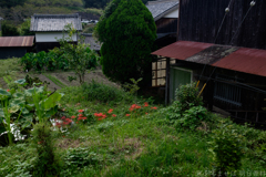 明日香村　大字稲渕