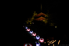 明日香村　大字岡　岡寺（ 飛鳥光の回廊2021 )