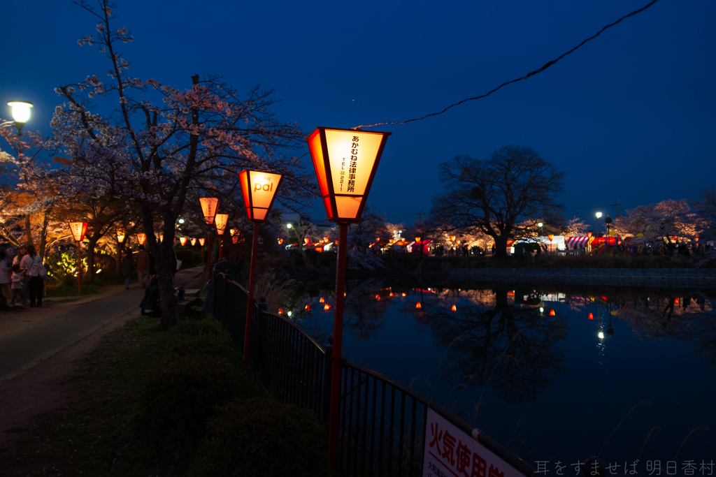 奈良県大和高田市　高田千本桜