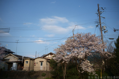 明日香村　大字川原