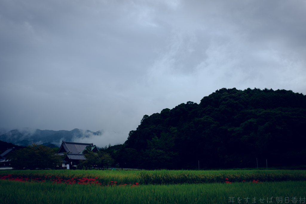 明日香村　大字橘