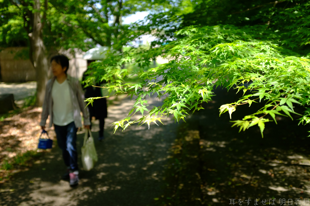 明日香村　大字豊浦