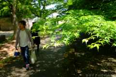 明日香村 大字豊浦 明日香村 大字豊浦