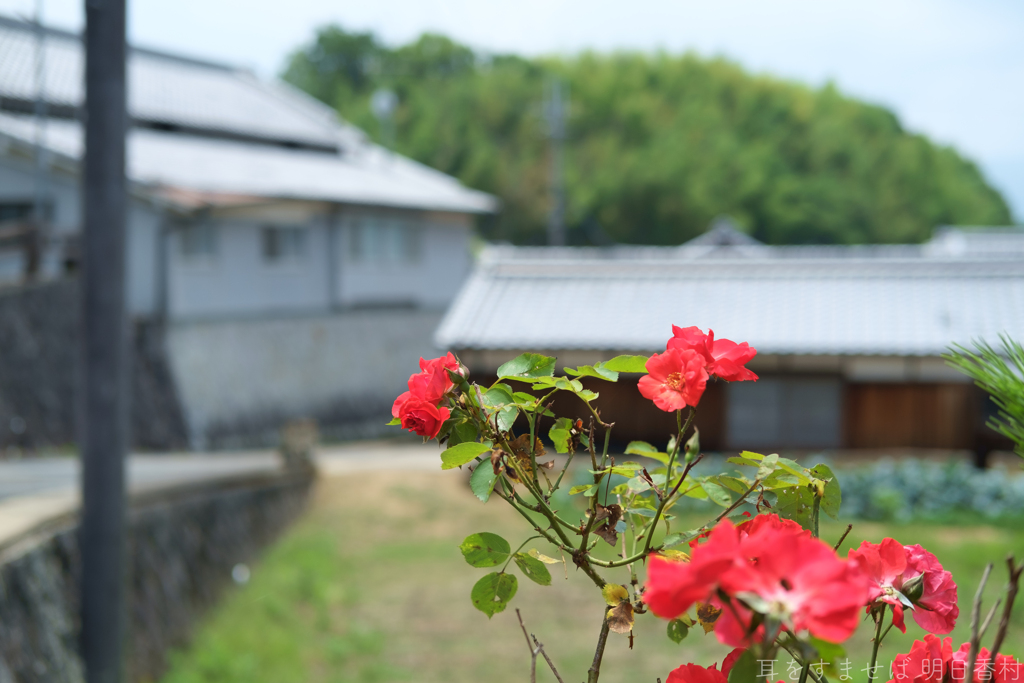 明日香村　大字立部