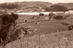 明日香村　大字栗原
