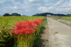 明日香村　大字飛鳥