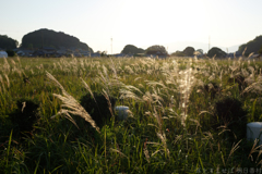 明日香村　大字岡