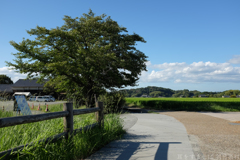 明日香村 大字飛鳥 明日香村 大字飛鳥