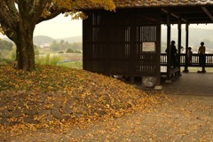 明日香村 国営飛鳥歴史公園 高松塚周辺地区 明日香村 国営飛鳥歴史公園 高松塚周辺地区