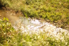 明日香村 大字豊浦( 甘樫丘付近 ) 明日香村 大字豊浦( 甘樫丘付近 )