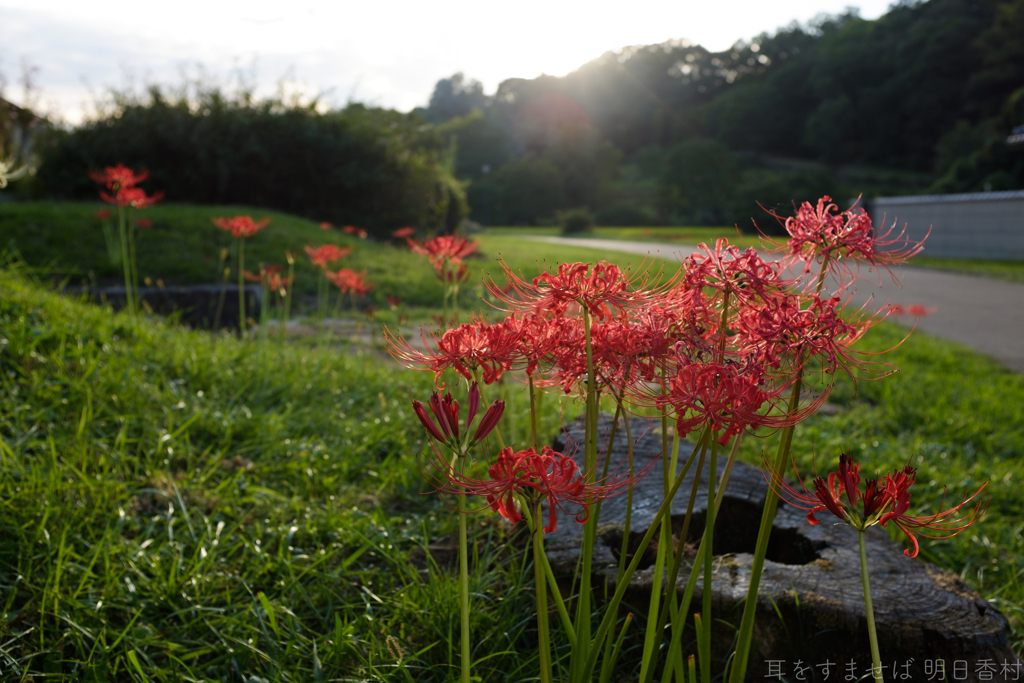 明日香村　大字祝戸
