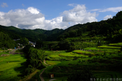 明日香村　大字稲渕