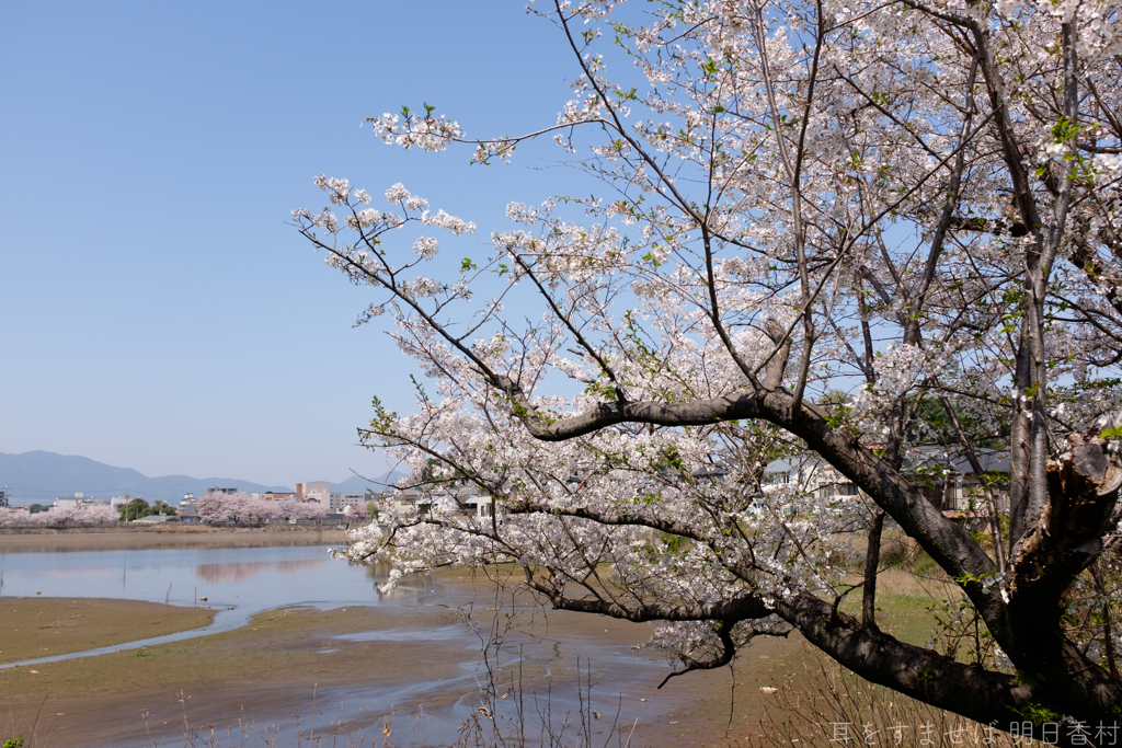 橿原市菖蒲町