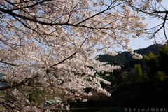 明日香村 大字稲渕 明日香村 大字稲渕