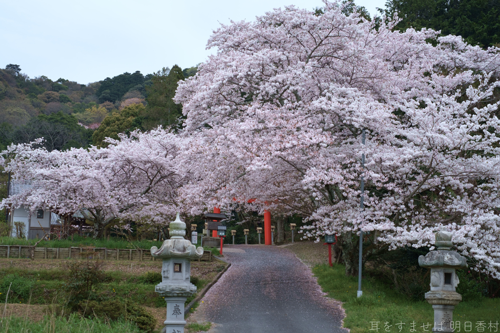 橿原市　畝傍山口神社