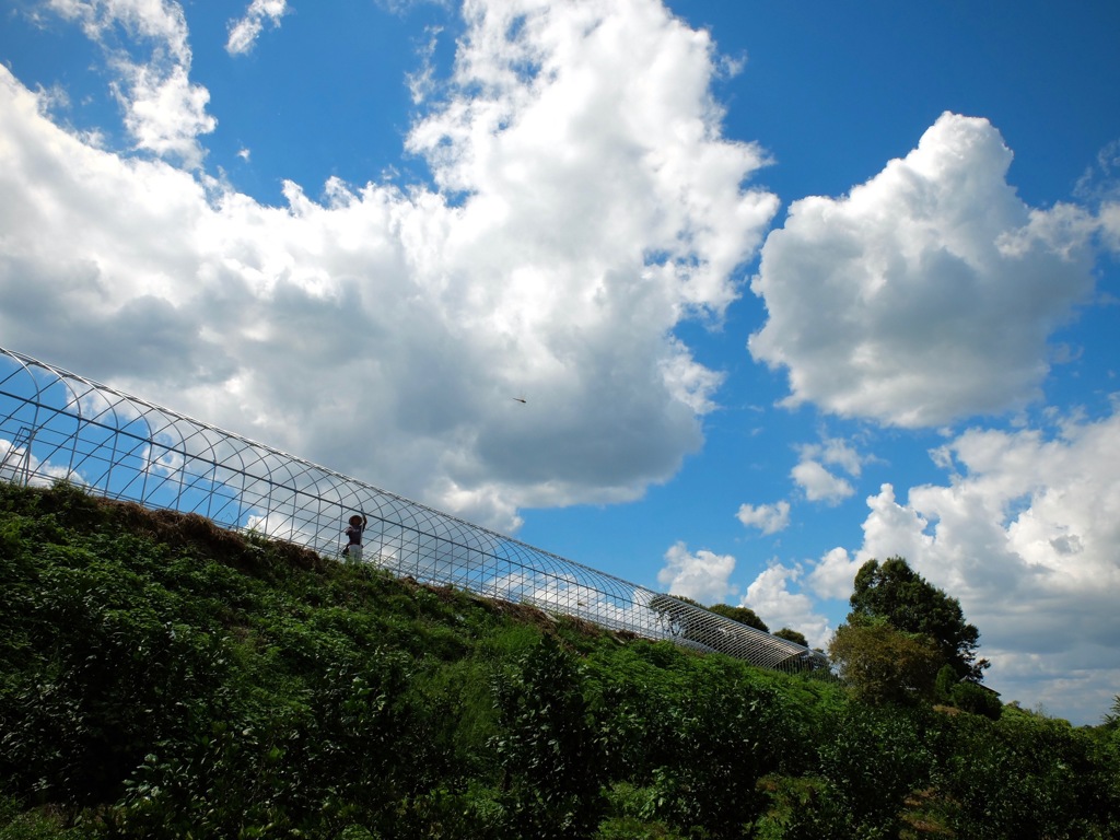 明日香村　大字平田