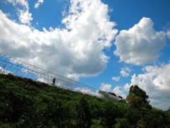 明日香村 大字平田 明日香村 大字平田