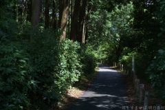 橿原市　南浦町