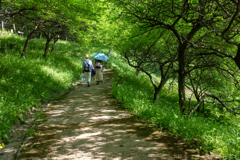 明日香村 大字豊浦 明日香村 大字豊浦