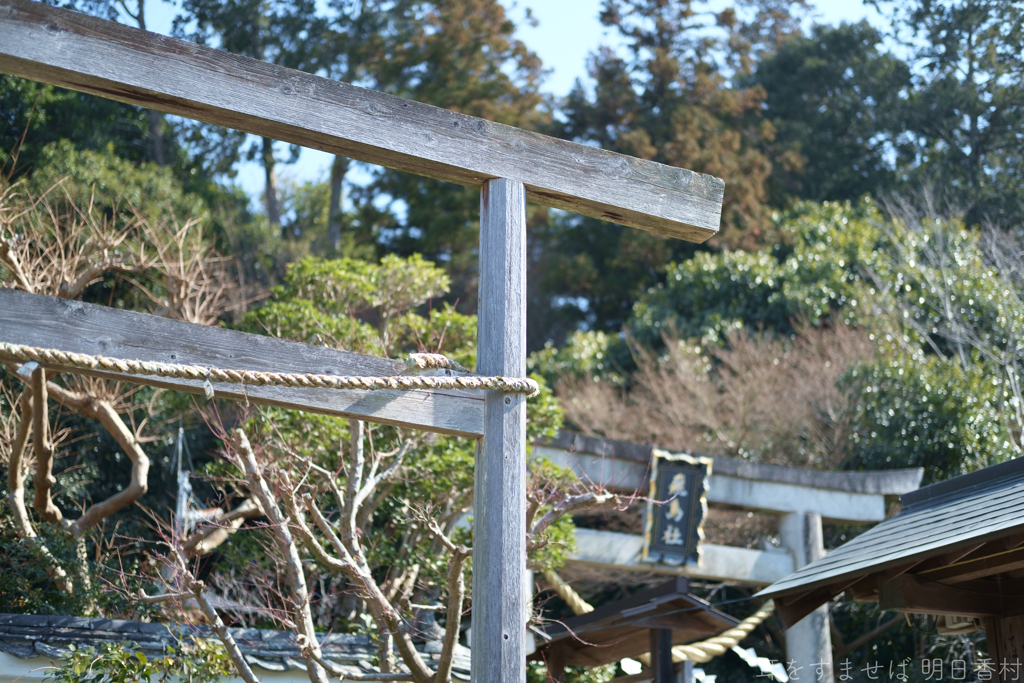 明日香村　大字飛鳥（ 飛鳥坐神社 ）