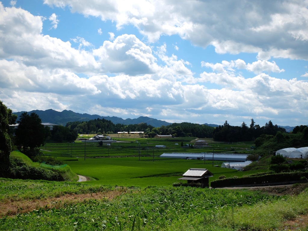 明日香村　大字平田